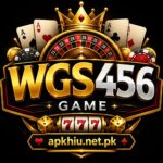 WGS456 Game